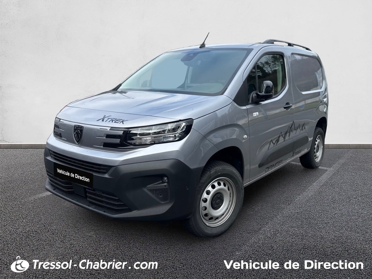 PEUGEOTPARTNER FOURGON M 1000 KG BLUEHDI 130 S&S BVM6 DANGEL TREK 4X2 occasion en vente à Brive-la-Gaillarde au prix de 30 990 €