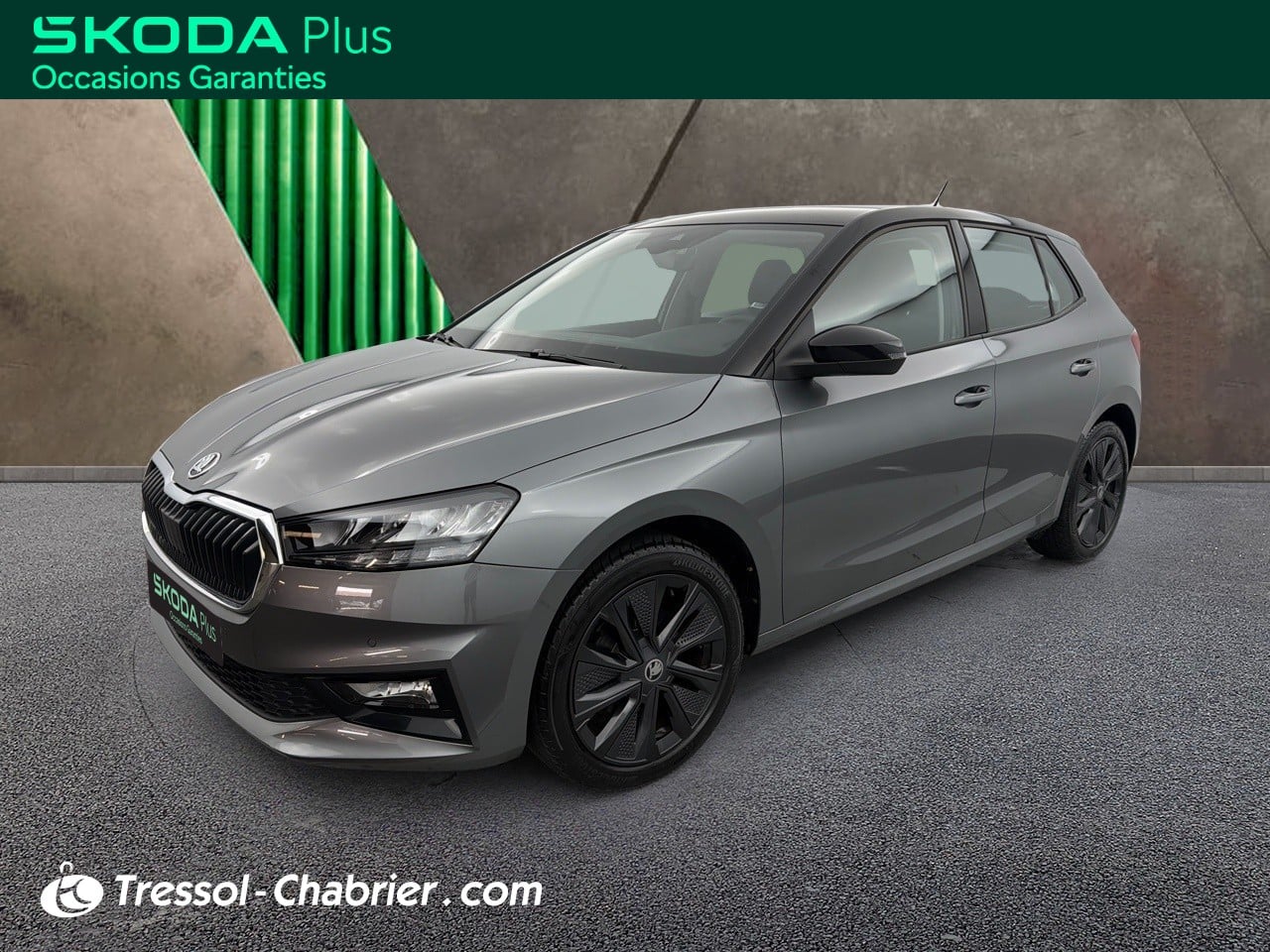 SKODAFabia 1.0 TSI 116 ch EVO 2 DSG7 Selection occasion en vente à Carcassonne au prix de 20 990 €