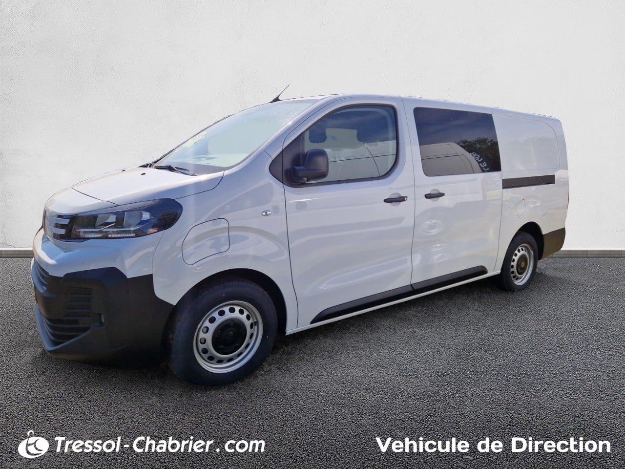 PEUGEOTE-EXPERT CA FIXE XL 136 CH 49 KWH  occasion en vente à Brive-la-Gaillarde au prix de 40 990 €
