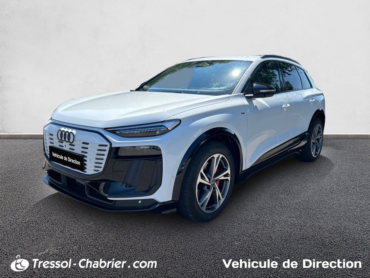 AUDIQ6 e-tron 387 ch 100 kWh quattro S line occasion en vente à Carcassonne au prix de 78 490 €