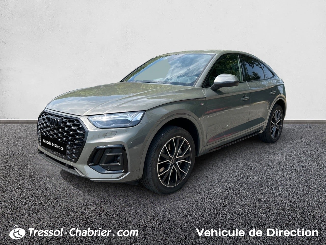 AUDIQ5 Sportback 55 TFSIe 367 S tronic 7 Quattro S line occasion en vente à Carcassonne au prix de 62 950 €